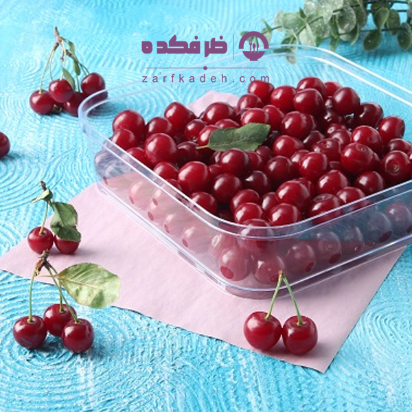 ظرف دسری یکبار مصرف رز 1500 چیدمان دسر در ظرف دسری یکبار مصرف رز ۱۵۰۰ سیسی با درب