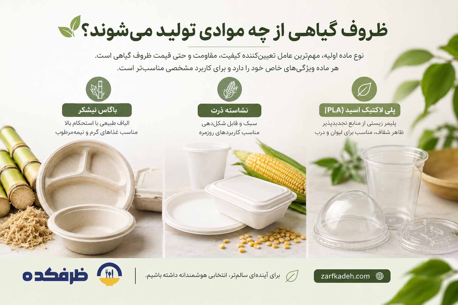 اینفوگرافیک ظروف گیاهی از چه مواردی تولید می شوند؟